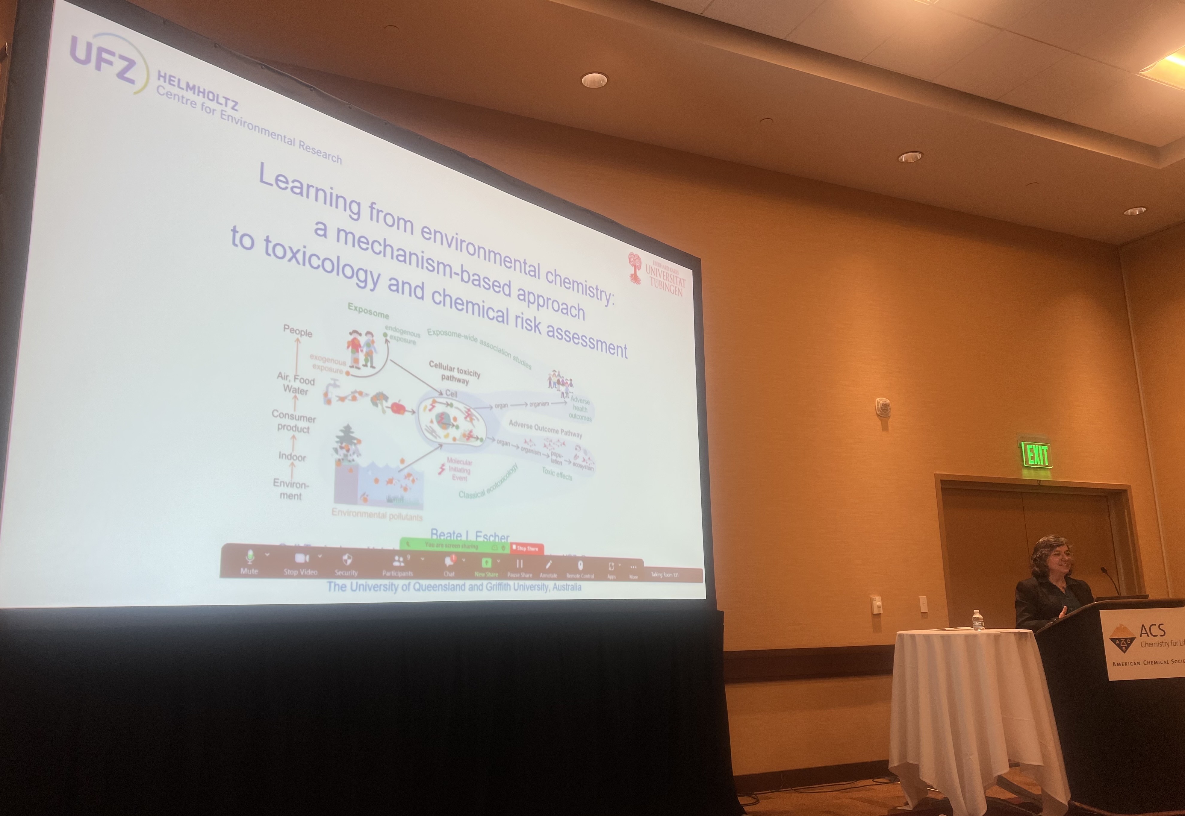 Learning from environmental chemistry